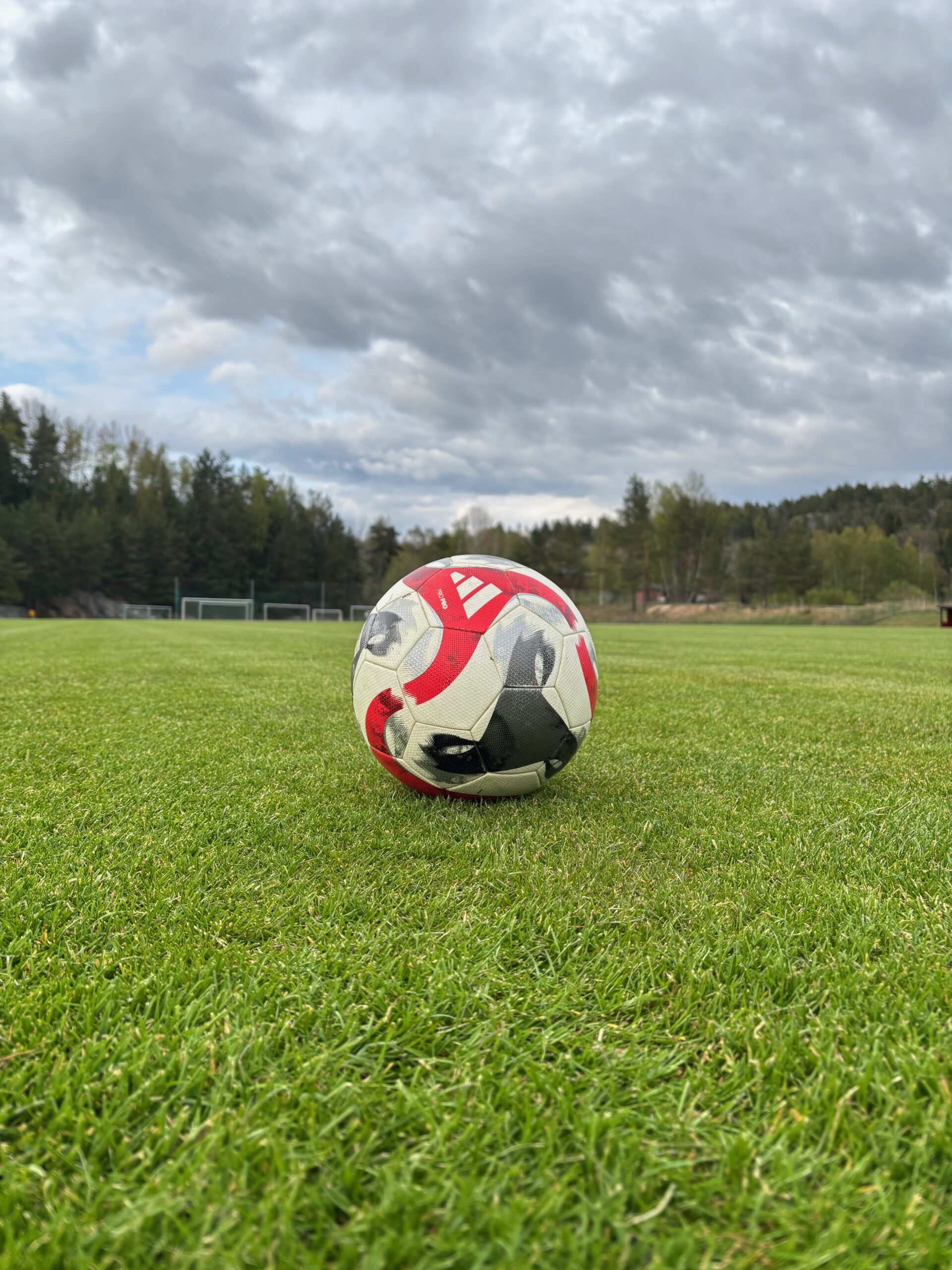 fotboll på en gräsplan